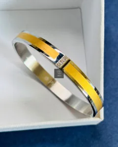 Thea's Regal Crest Men's Anti Tarnish Bangle