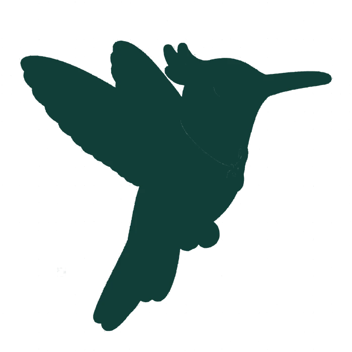 Silhouette of the Thea's Buddy hummingbird in flight